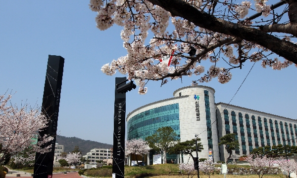 르완다 그린 모빌리티 정비 및 운영관리 역량강화 지원 대표이미지
